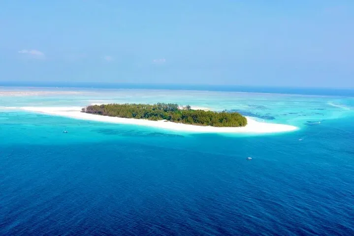 Affordable 1-Day Zanzibar to Mikumi Fly-In Shared Game Drive Safari  -  Tanzania