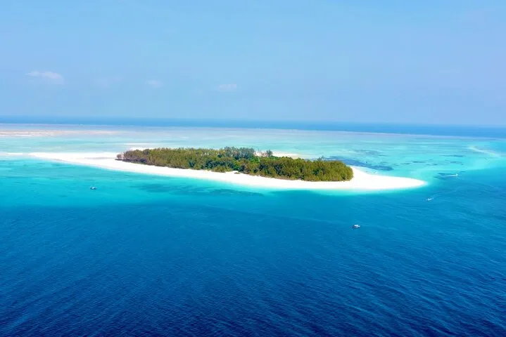 1-Day Amazing Day Trip Flying from Zanzibar to Nyerere - Tanzania safari gallery image