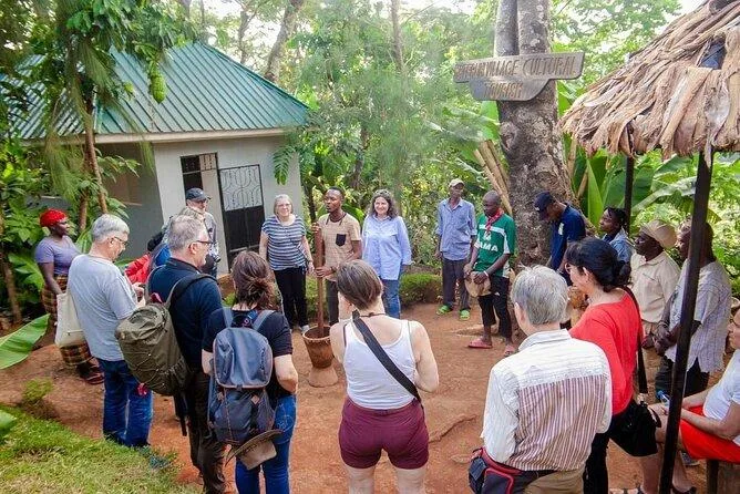 2 Days Materuni Waterfalls & Serval Wildlife Tour gallery image