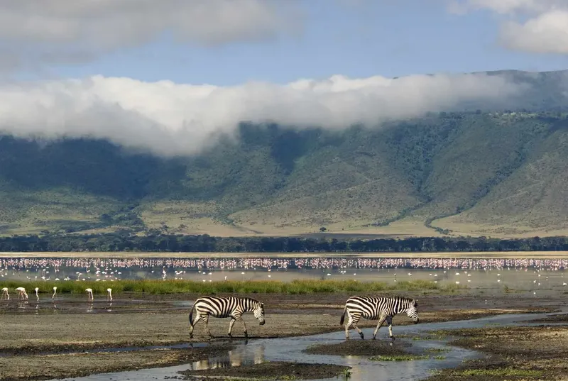 Experience the Ultimate 9-Day African Big 5 Budget Joining Adventure