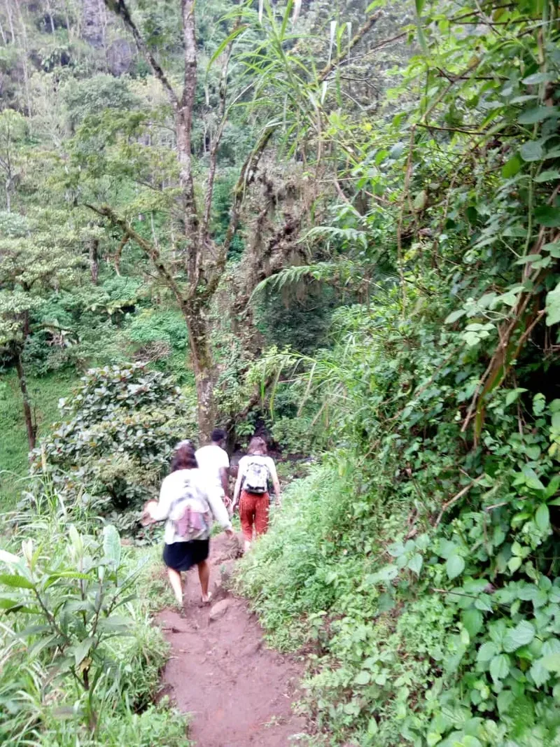 3 Days Kilimanjaro Waterfalls & Cultural Experience