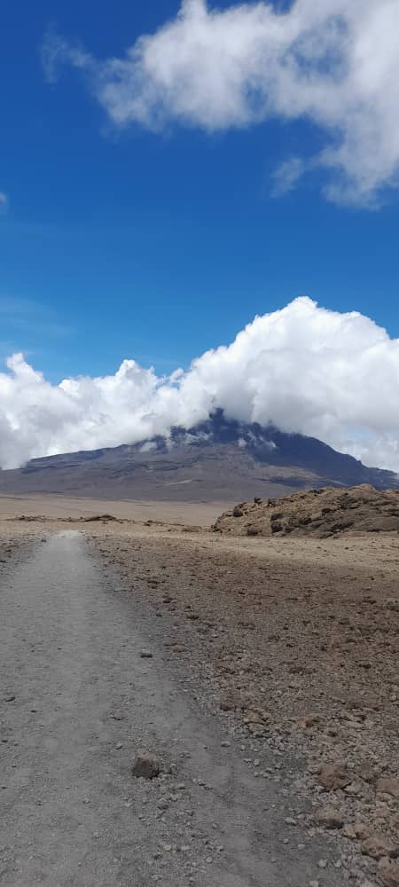8-Day The Whiskey Kilimanjaro Trip Machame Route 2026 - 2027 - 2028 gallery image