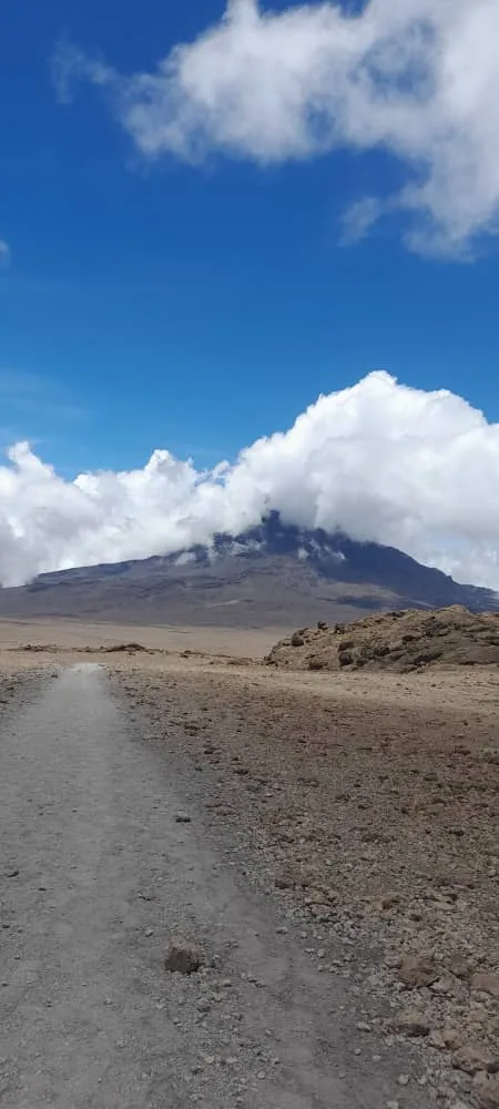 8-Day The Whiskey Kilimanjaro Trip Machame Route 2026 - 2027 - 2028