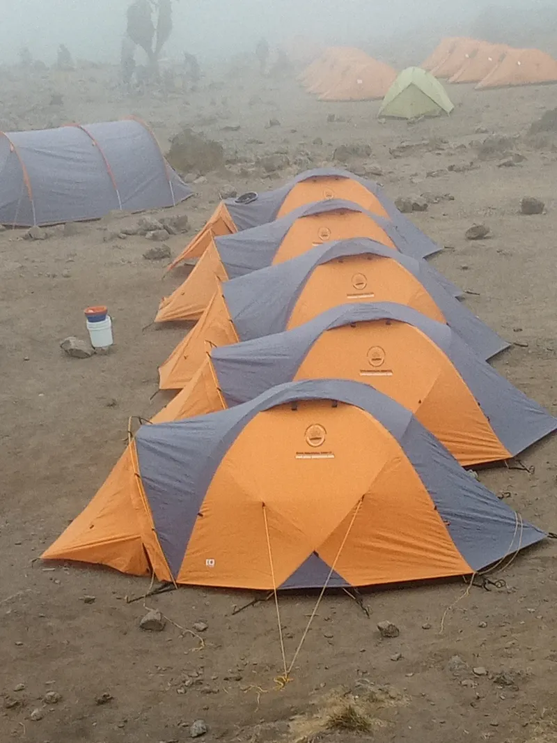 Mount Kilimanjaro: 1-Day Hiking Mount Kilimanjaro | Marangu Route - Kilimanjaro