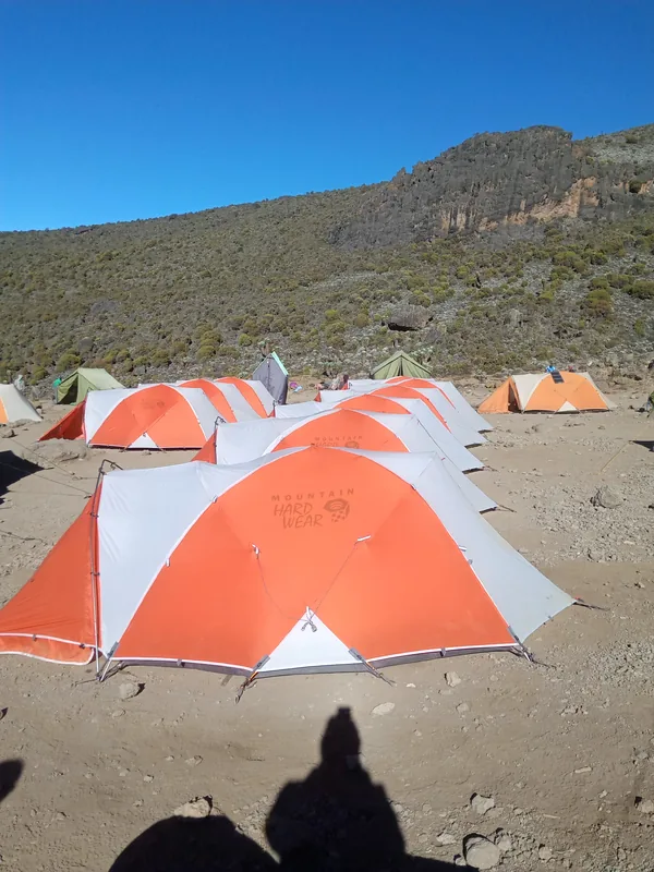 6 Days Rongai Route: Sunrise to Summit