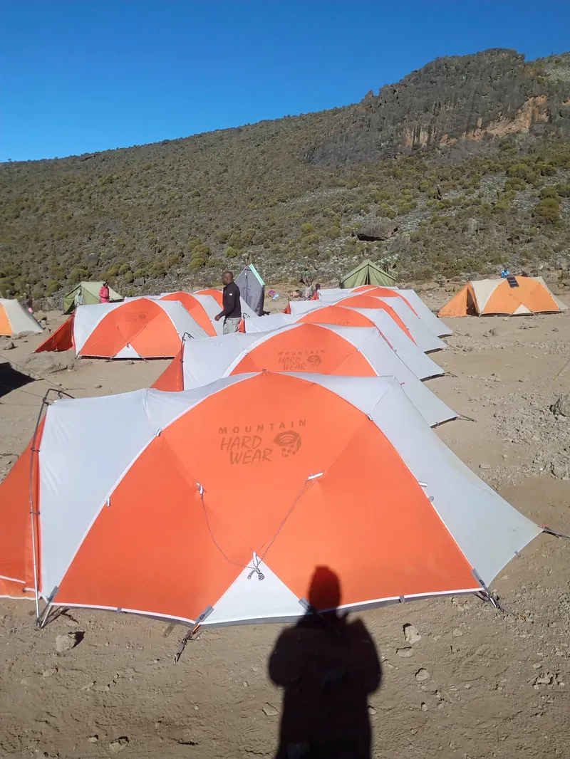 1-Day Mt Kilimanjaro Climbing from Arusha/Moshi - Kilimanjaro