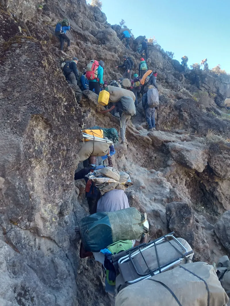 7-Day Lemosho Climbing Route - Kilimanjaro gallery image