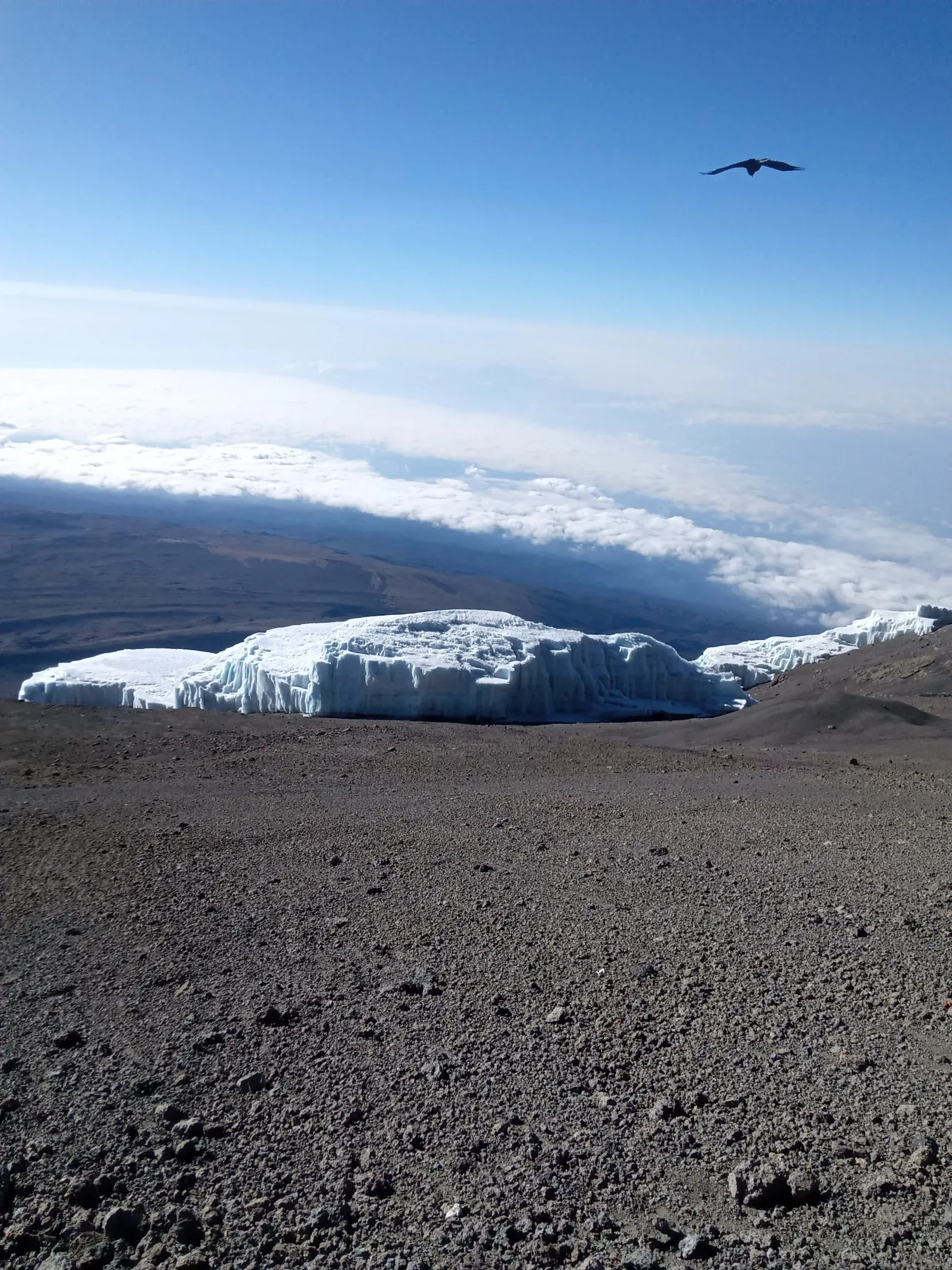 5-Day Marangu Route Kilimanjaro Climb Trip - 2026 - 2027 - 2028 hero photo