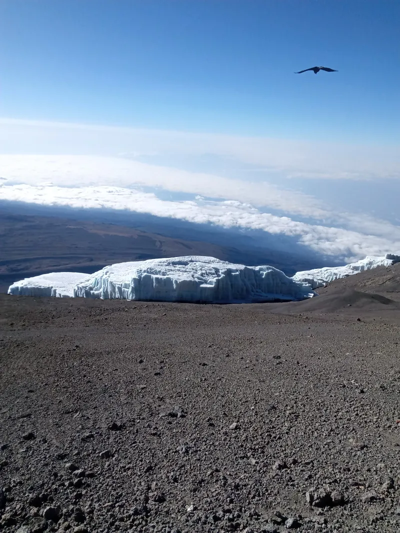5-Day Kili Trekking via Marangu Route 2026 2027 gallery image