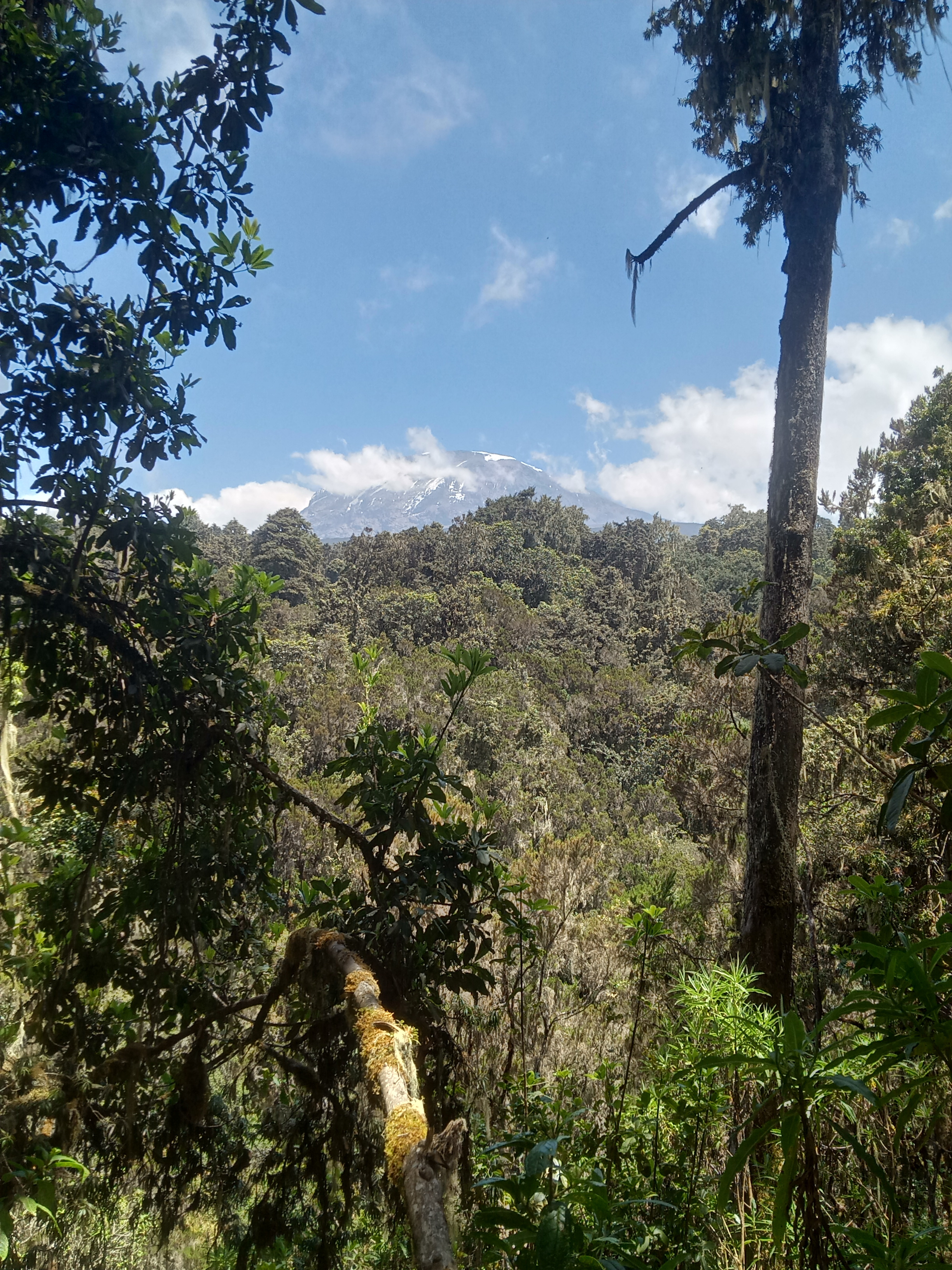 5-Day Mount Kilimanjaro Marangu Route Trek - Kilimanjaro gallery image