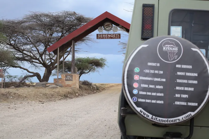 3-Day Fly in and Fly out in Serengeti National Park - Tanzania safari gallery image
