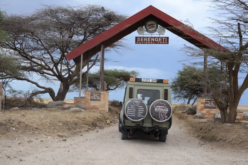 3-Day Fly in and Fly out in Serengeti National Park - Tanzania safari gallery image