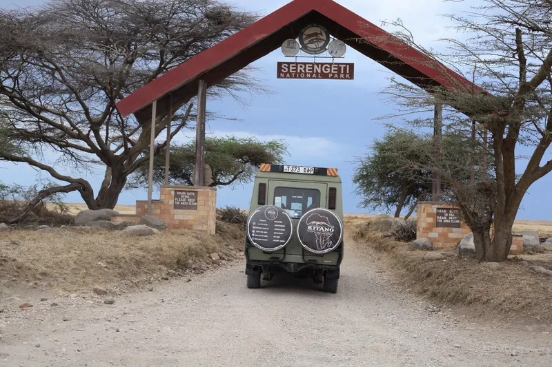 3-Day Fly in and Fly out in Serengeti National Park - Tanzania safari gallery image