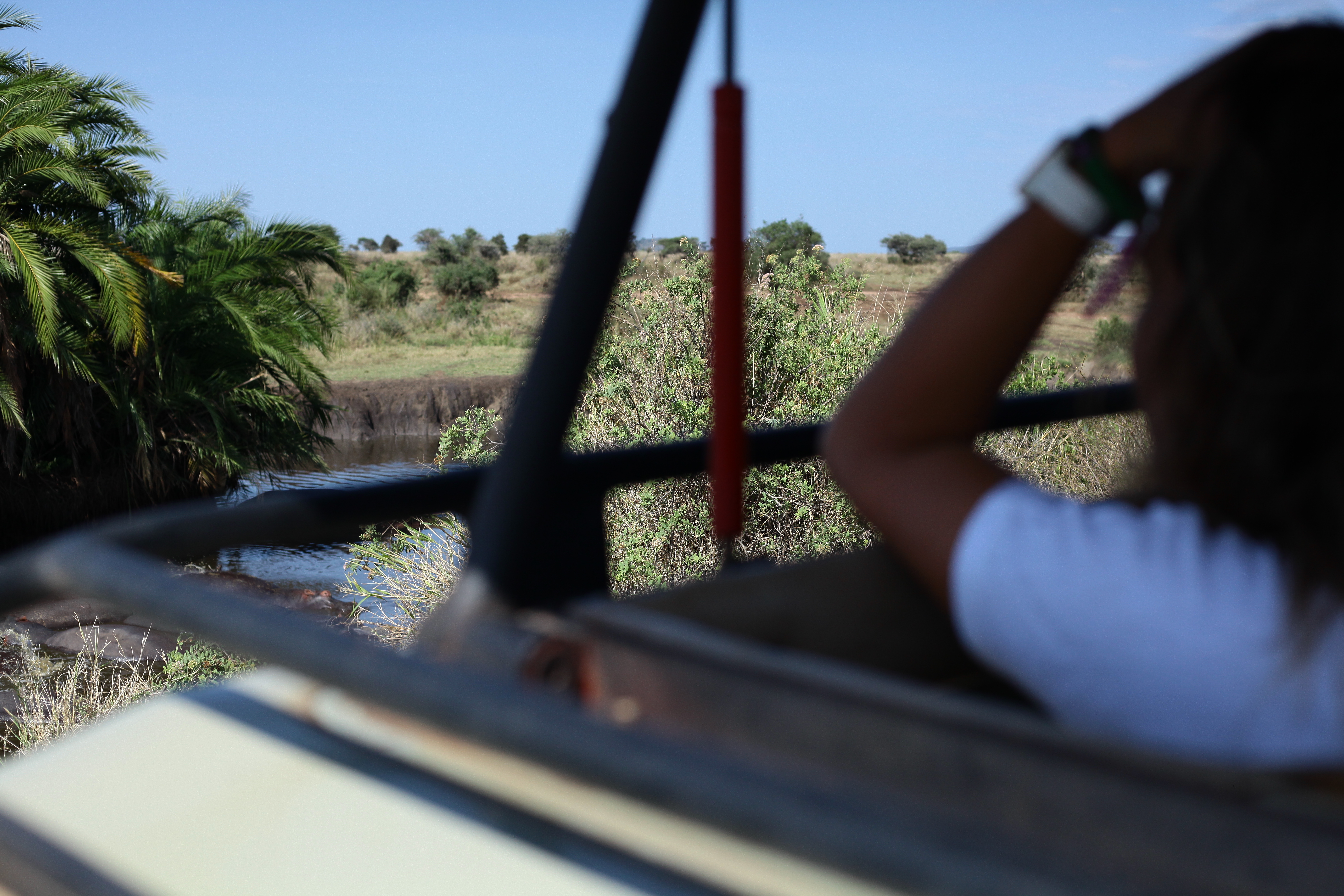 3-Day Jewels of Tanzania - Mid-Range - Tanzania safari gallery image