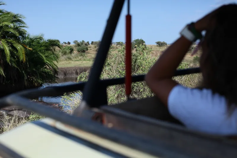 3-Day Jewels of Tanzania - Mid-Range - Tanzania safari gallery image