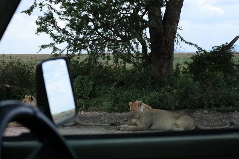 7-Day Amazing Luxury Safari - Tanzania safari