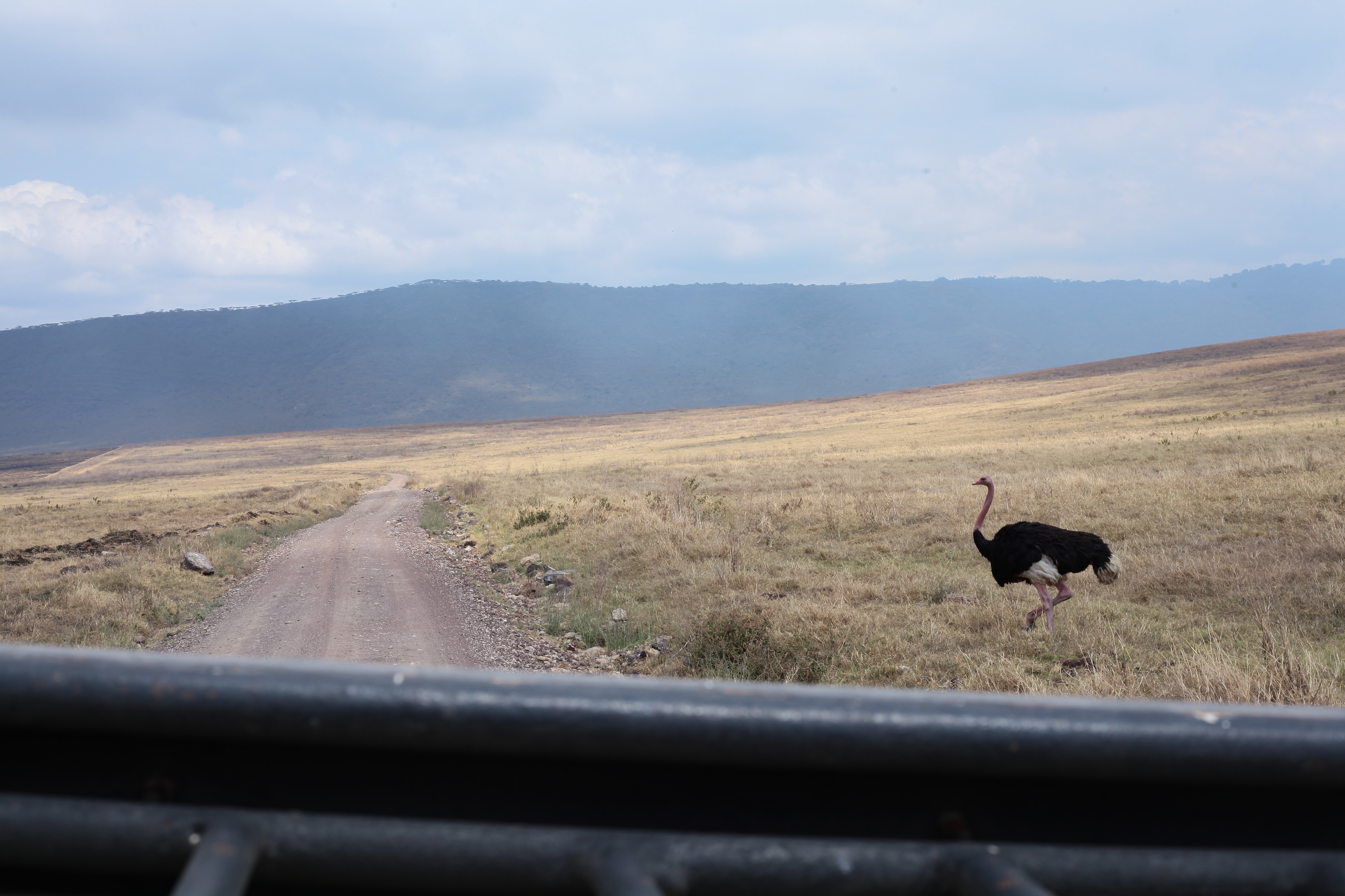 3-Day Safari Spectacular, Tarangire, Ngorongoro, Manyara - Tanzania safari