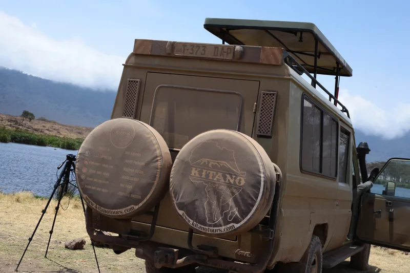 7-Day Zanzibar Activities Safari & Serengeti Exploration - Tanzania safari