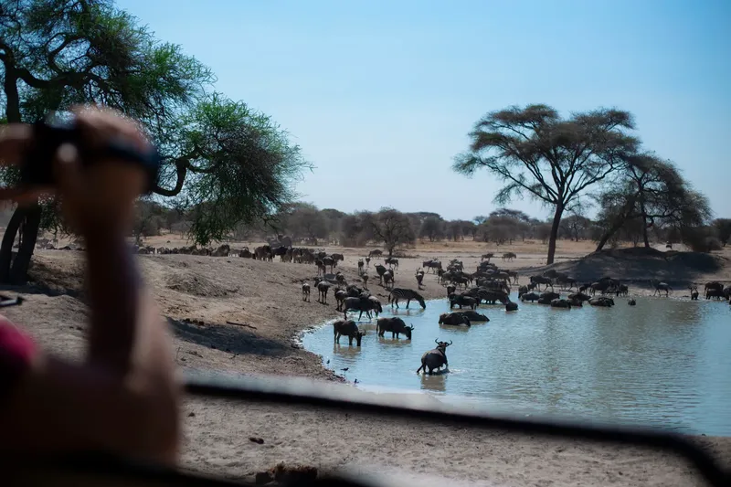 3-Day Luxury Tarangire, Ngorongoro & Manyara Tour - Tanzania safari