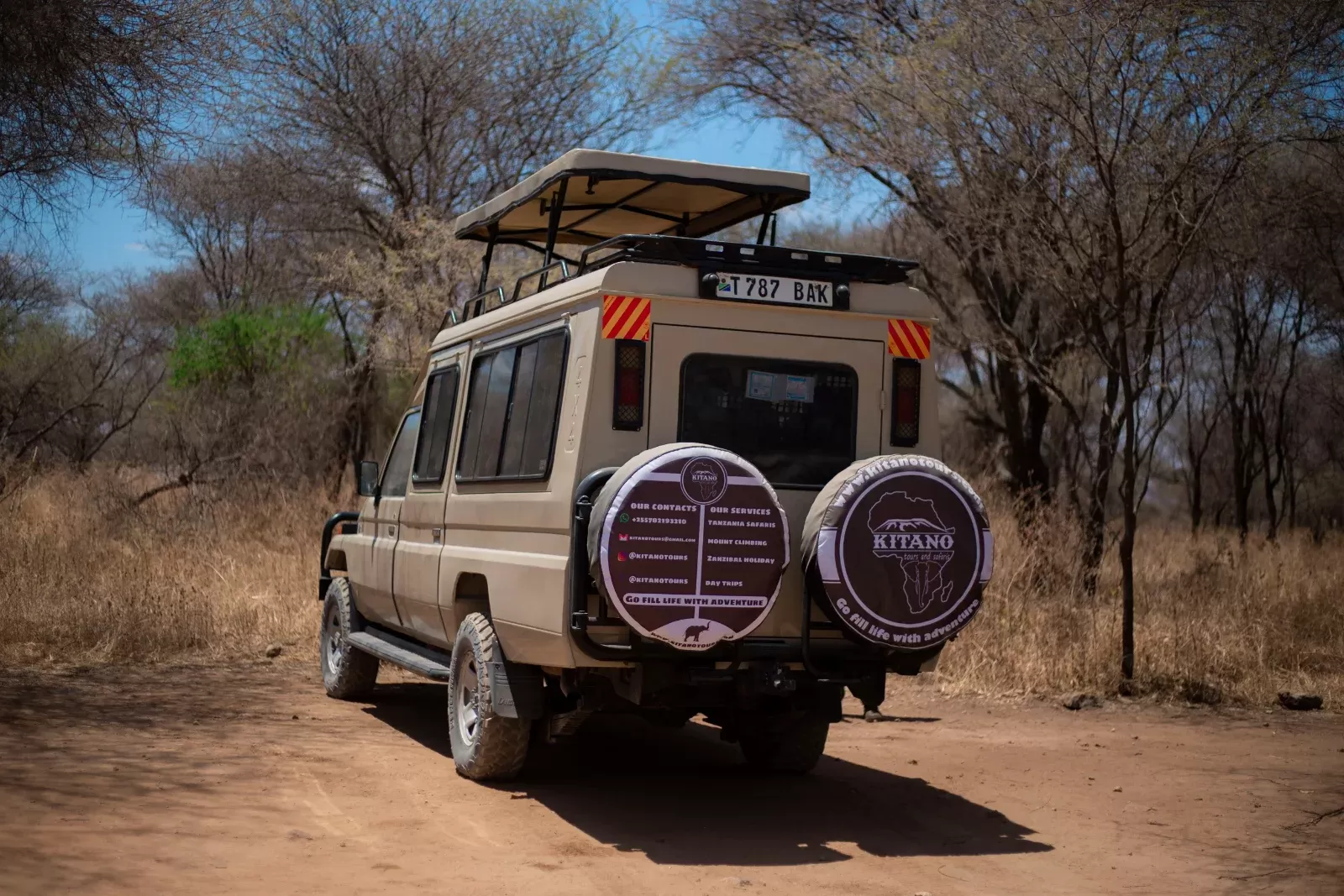 1-Day Pilanesberg National Park Tour and Safari hero photo