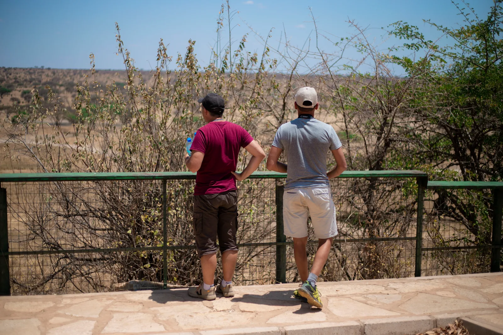 2-Day Tanzania (Tarangire & Ngorongoro Crater) Safari gallery image