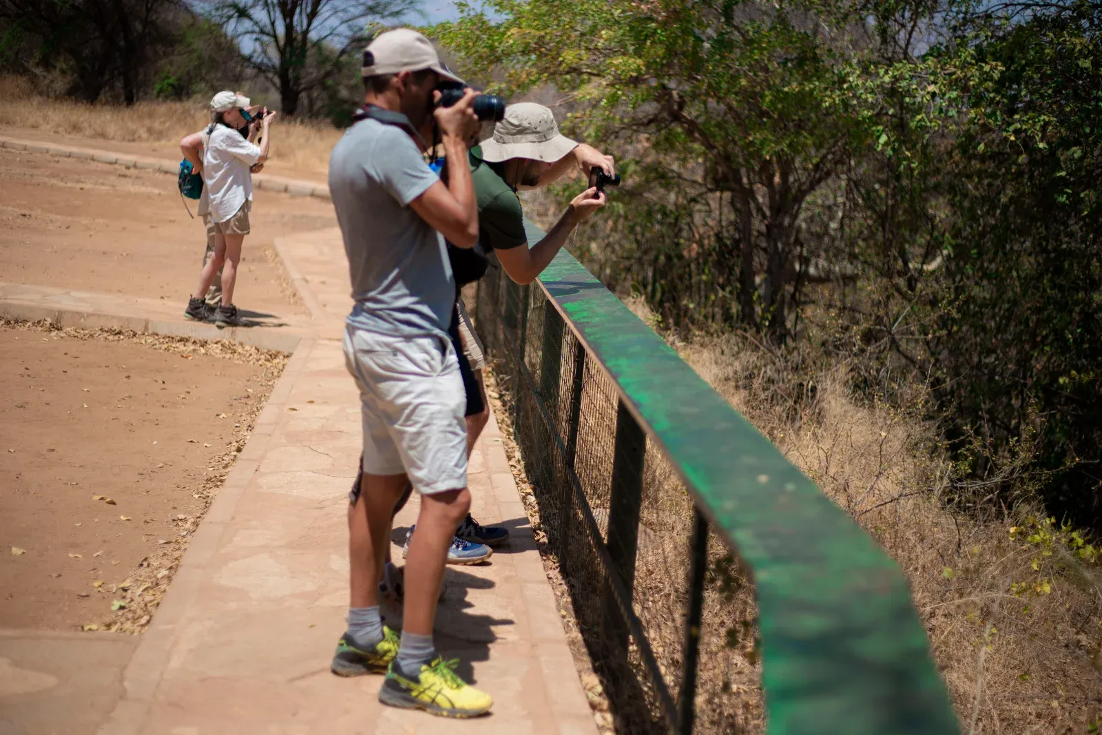 5-Day Sharing Budget Safari Escape Serengeti, Ngorongoro, Tarangire & Materuni  -  Tanzania hero photo