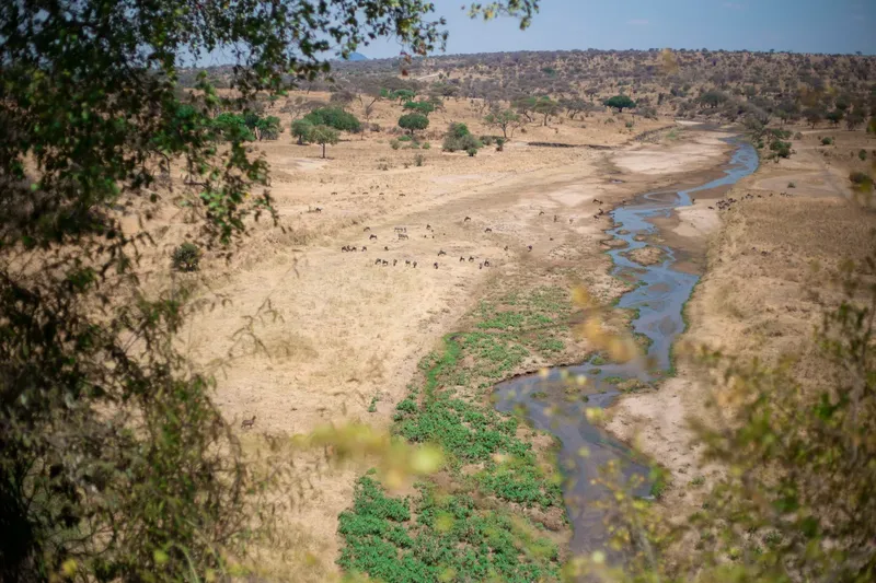 5-Day Sharing Budget Safari Escape Serengeti, Ngorongoro, Tarangire & Materuni - Tanzania