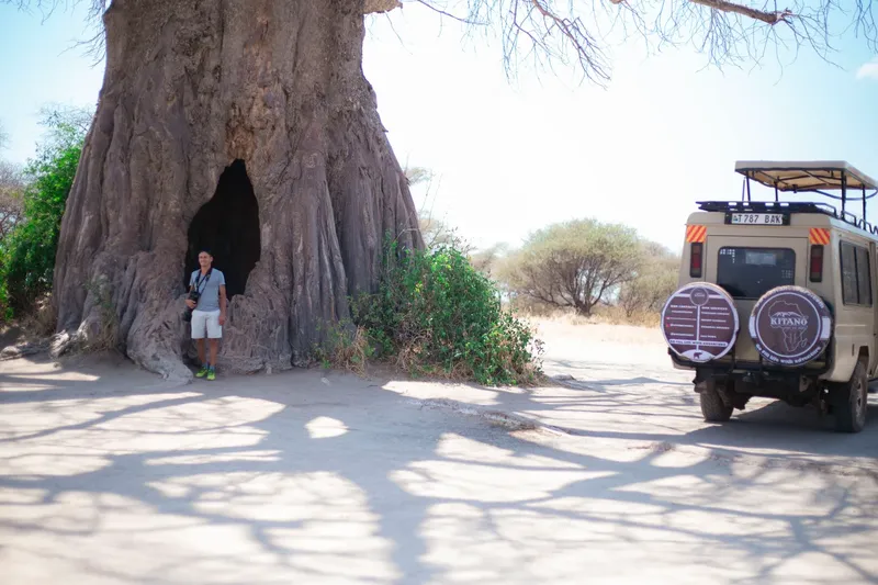 3-Day Luxury Tarangire, Ngorongoro & Manyara Tour - Tanzania safari