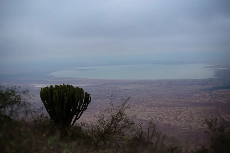 1 Day Ngorongoro Trip Explore the Crater
