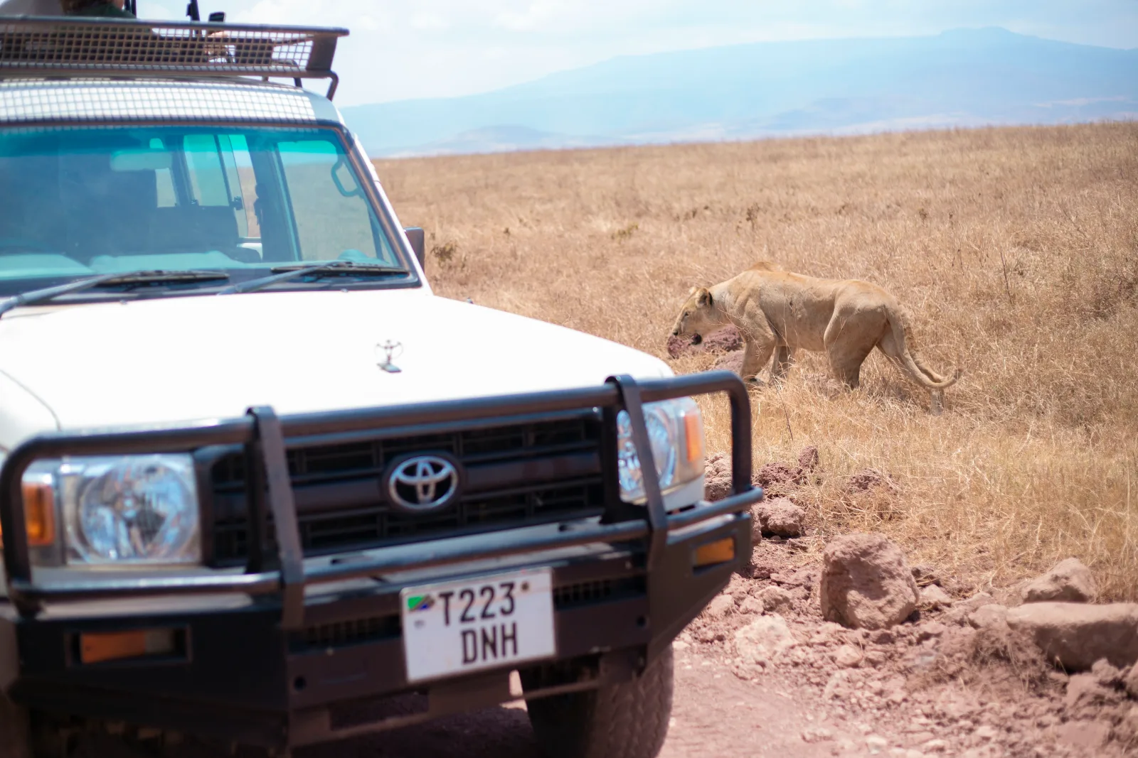 3-Day Zanzibar to Tarangire, Ngorongoro & Lake Manyara budget Safari gallery image