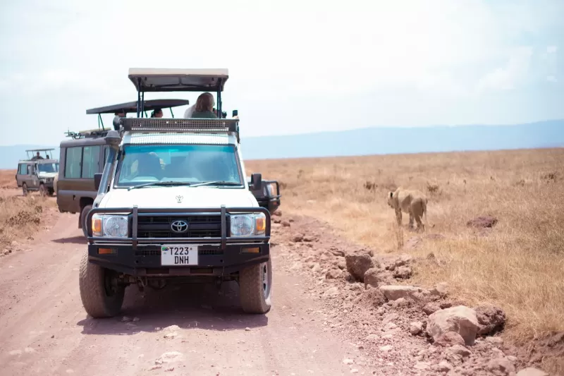 6-Day Ultimate Tanzania Great Wildebeest Migration Safari Adventure gallery image