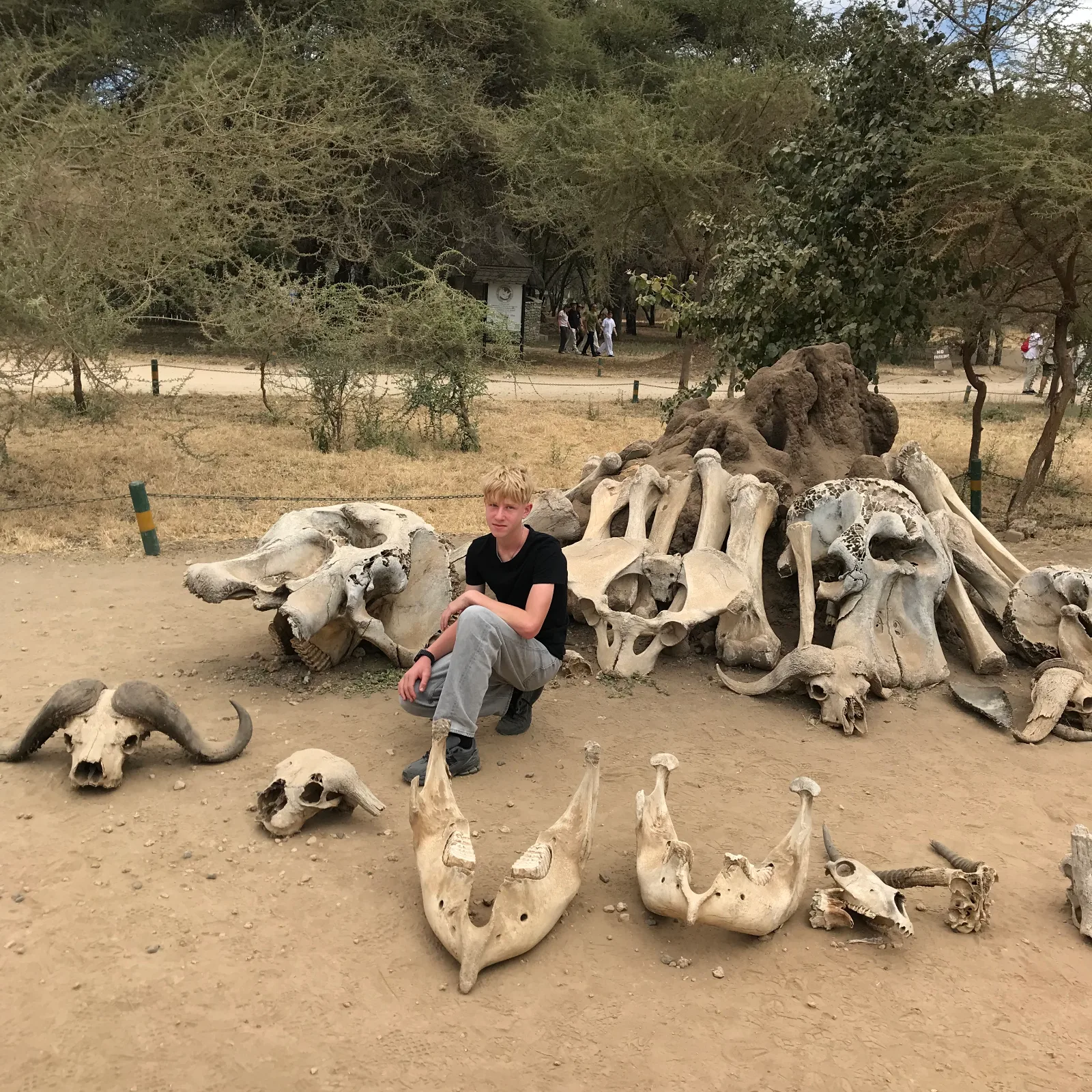 14-Day Kenya and Tz Midrange Group Joining 4x4 Jeep Tour Safari gallery image