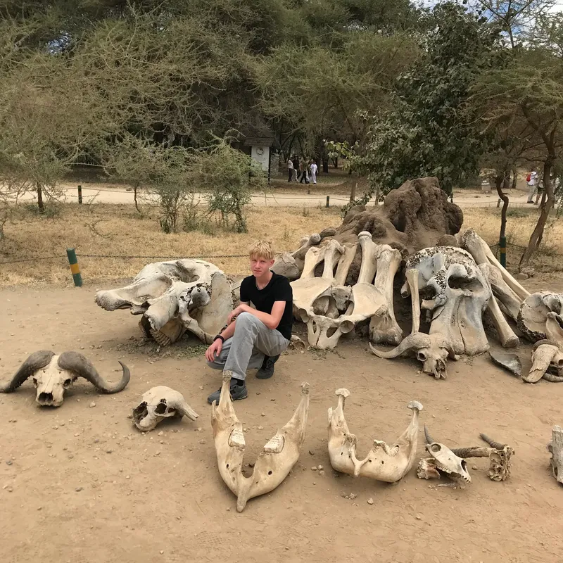 14-Day Budgeted Tour from Serengeti to the Roof of Africa Safari