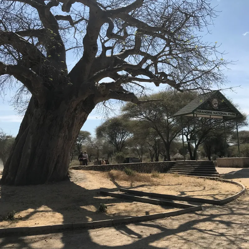 6-Day Shared Group Camping Safari  -  2 Nights in Serengeti and Big 5 Adventure