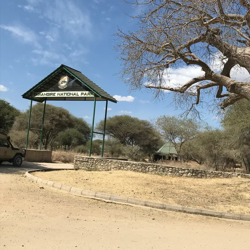 3-Day Group Tour to 3 Northern Park from Zanzibar - Tanzania safari