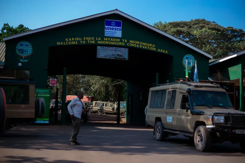 3-Day Luxury Tour from Zanzibar - Tarangire & Ngorongoro - Tanzania safari gallery image