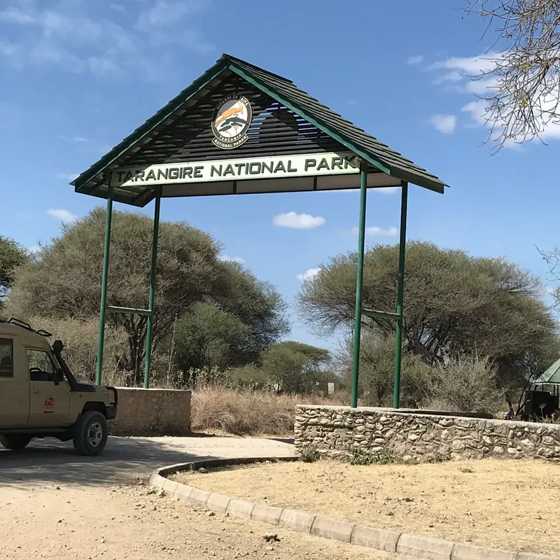 2-Day Luxury Tour from Zanz'B to Tarangire & Ngorongoro