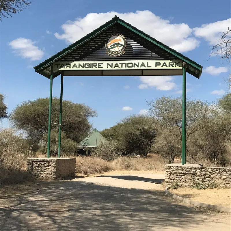 5-Day Group Tour Tarangire Manyara Serengeti and Ngorongoro crater safari