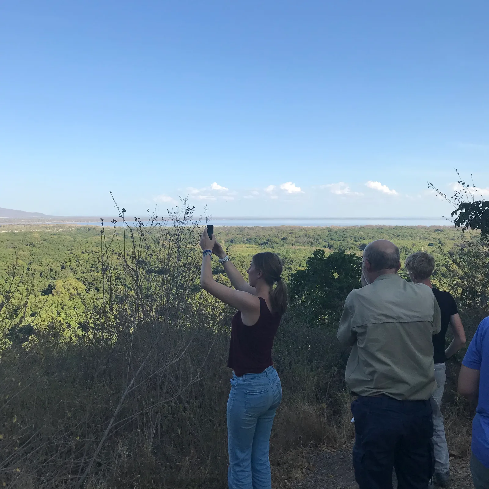 Enjoy Taste of 1-Day Lake Manyara National Park gallery image
