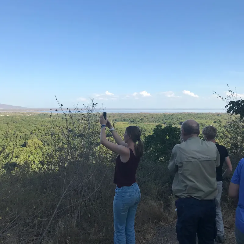 Best Lions Climbing Tree 2-Day Lake Manyara & Ngorongoro Crater Safari