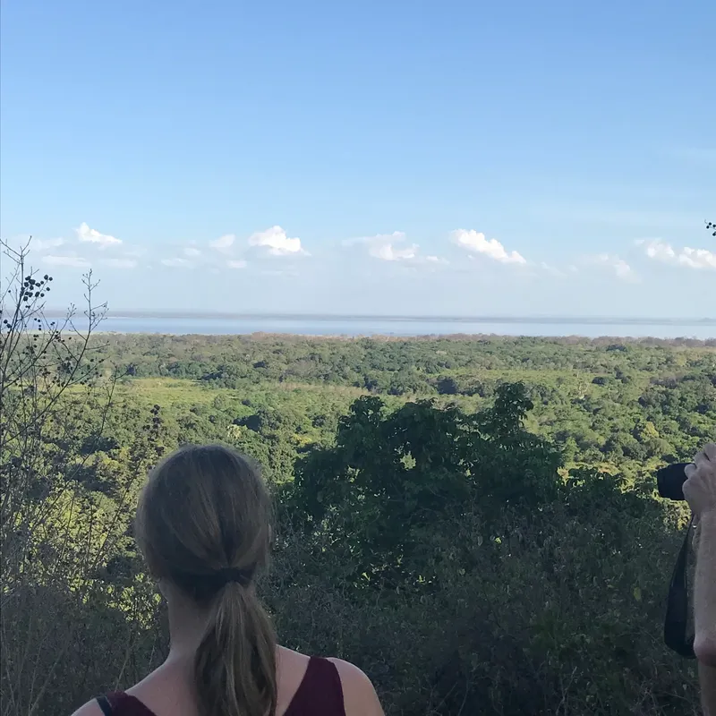 1-Day Twende Lake Manyara National Park