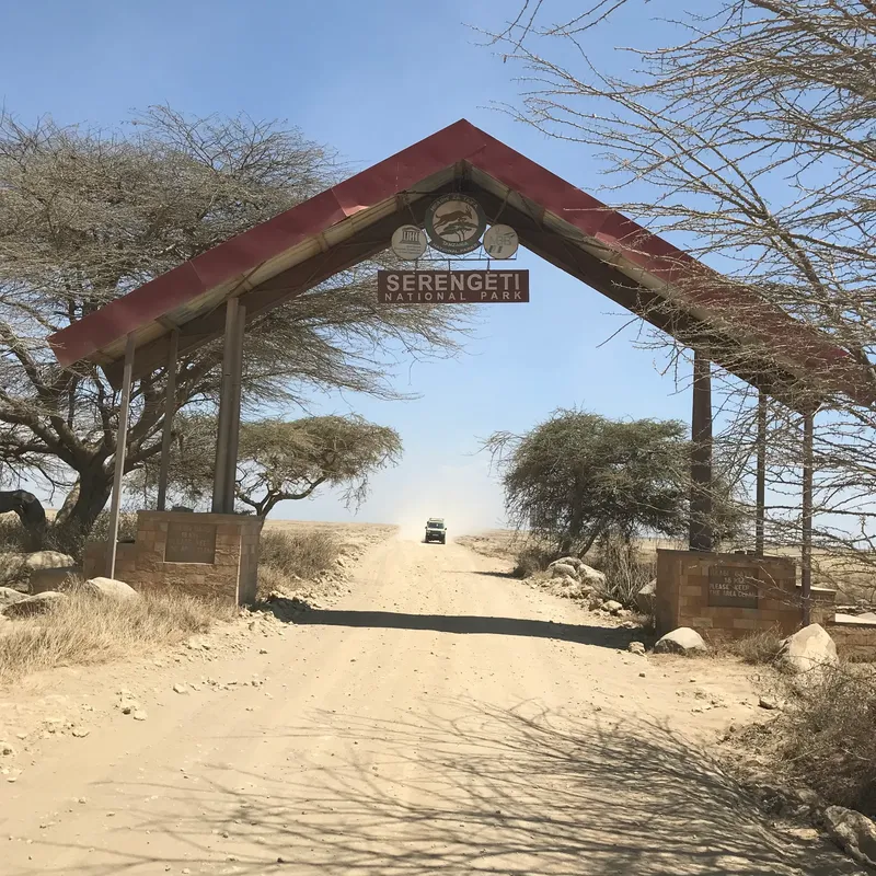 5-Day Living Among Lions - Mid-Range - Tanzania safari gallery image