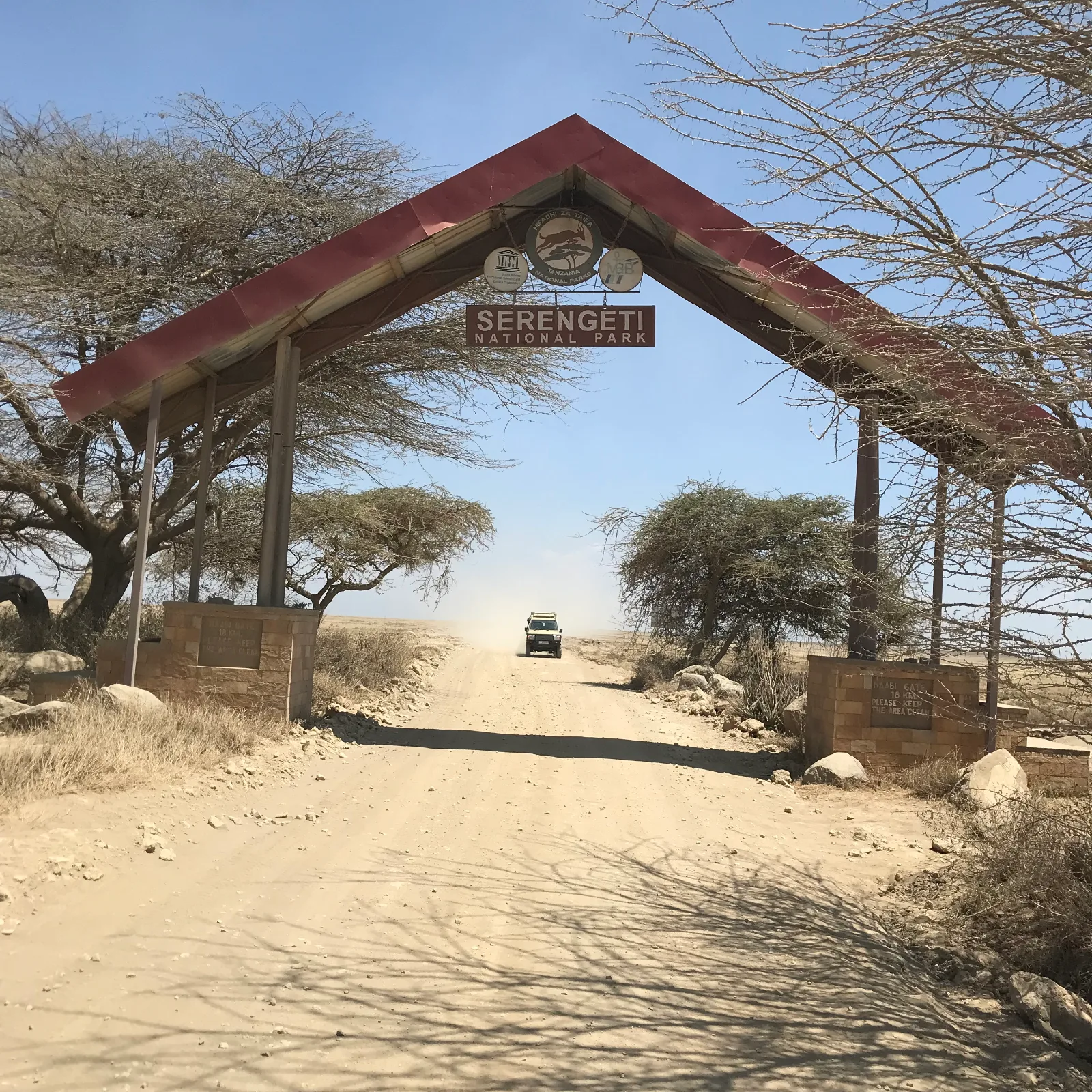 14-Day Budgeted Tour from Serengeti to the Roof of Africa Safari gallery image