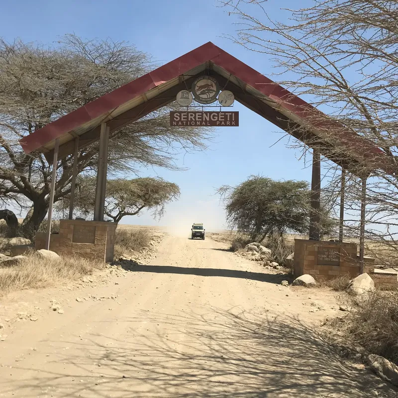 14-Day Budgeted Tour from Serengeti to the Roof of Africa Safari gallery image
