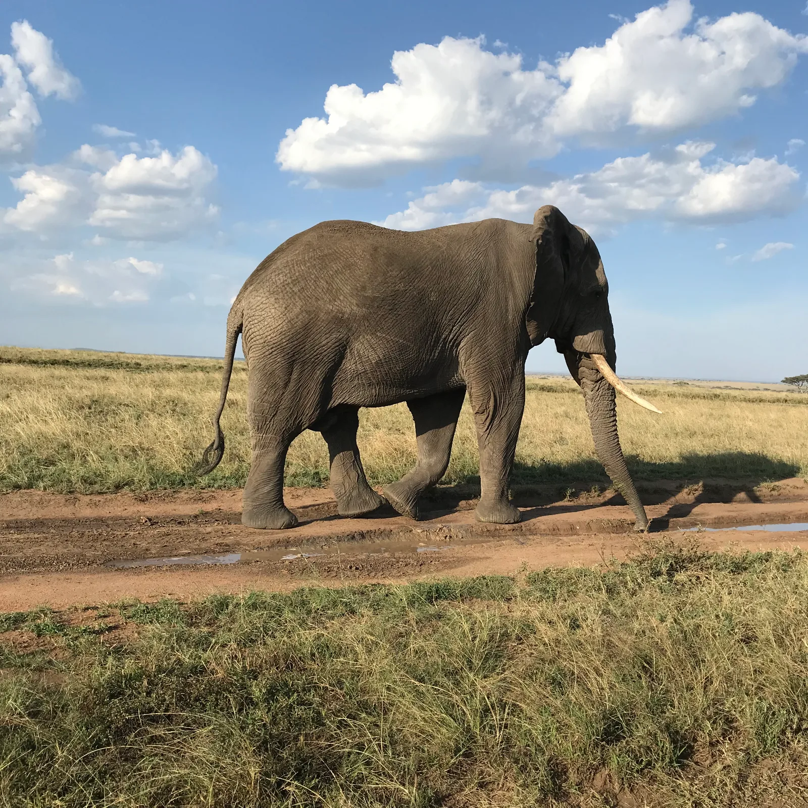 Experience the Adventure of 6-Day The Touch to Wilderness (Luxury Package) gallery image