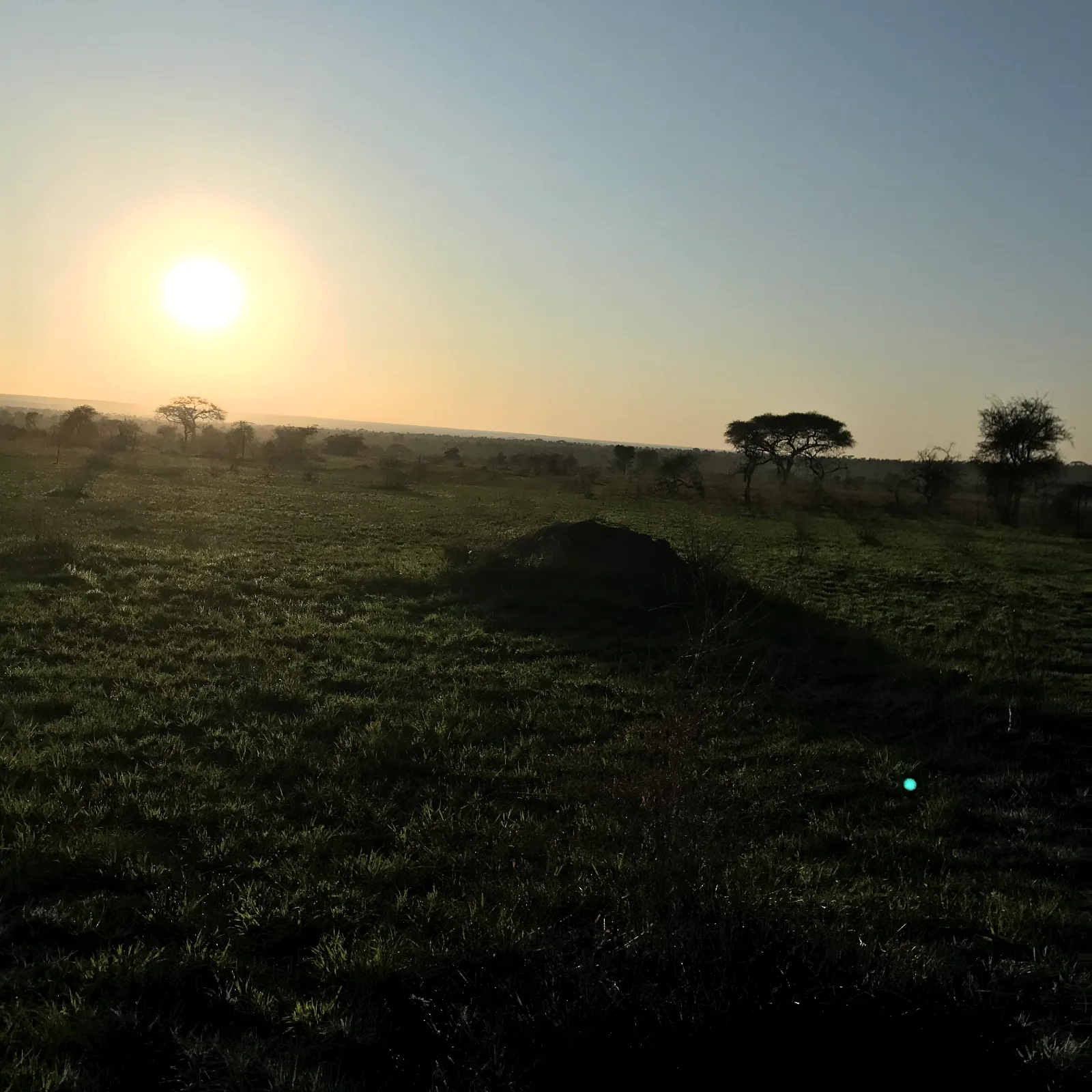 5-Days Private Serengeti Ngorongoro and Materuni Safari 2026 2027 gallery image