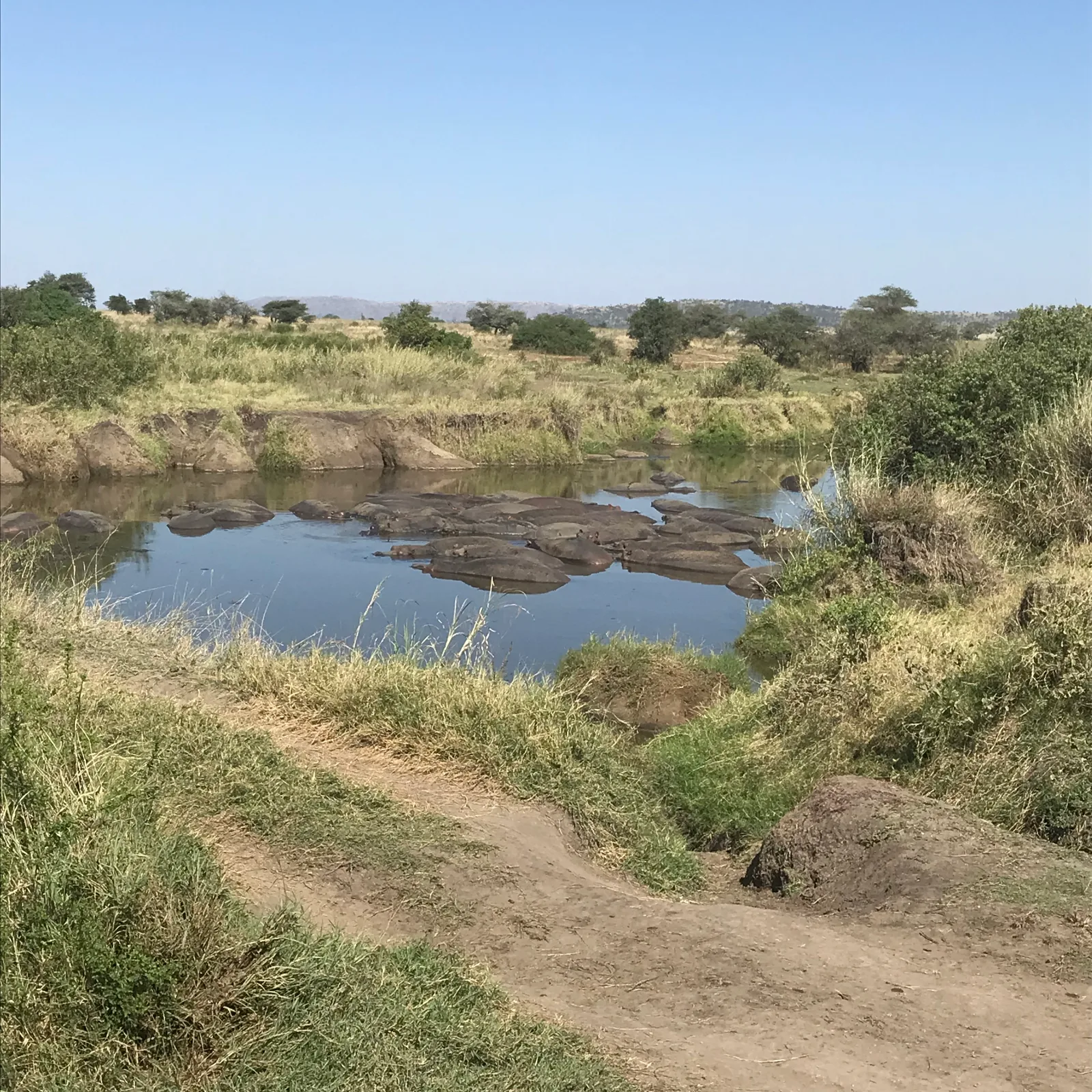 3-Days Luxury Tour from Zanzibar to Serengeti and Ngorongoro Crater gallery image