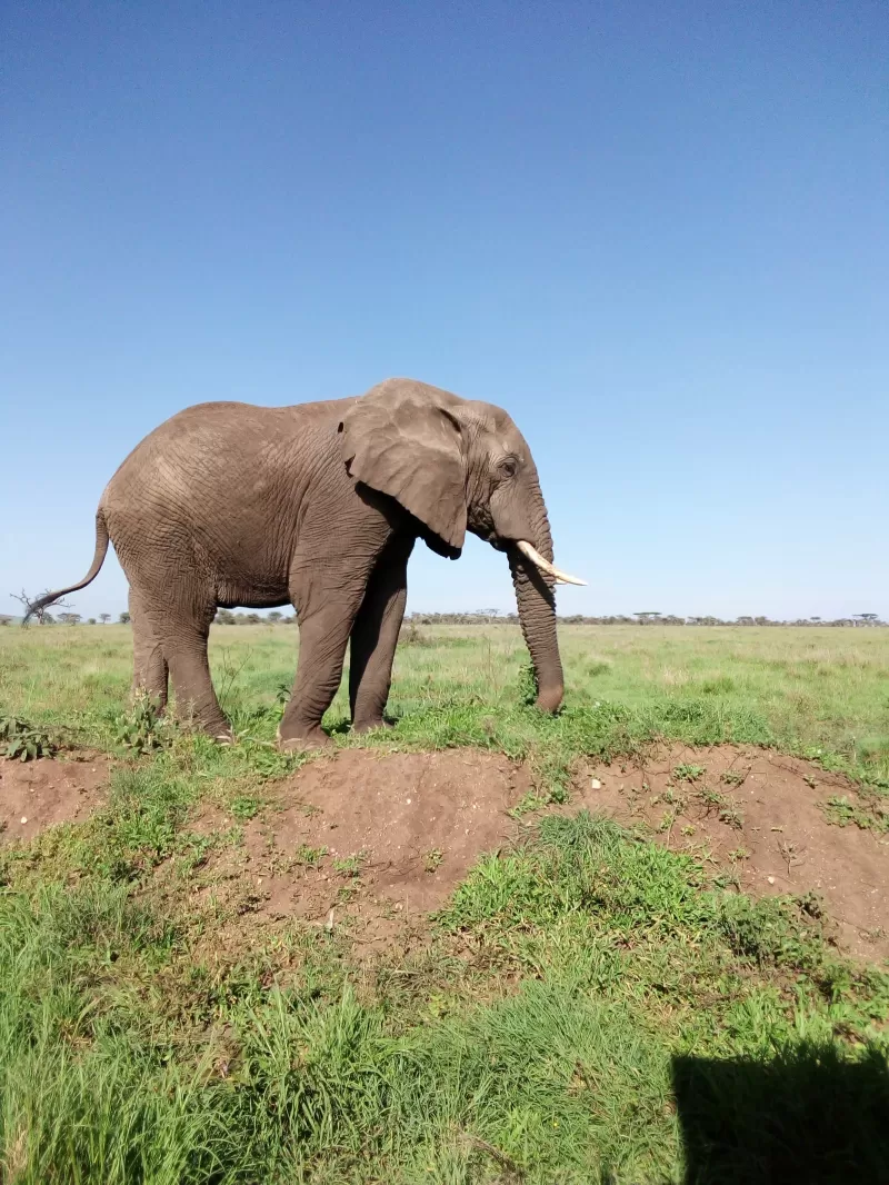 4-Day Budget Victoria Falls and Chobe Safari Tour gallery image