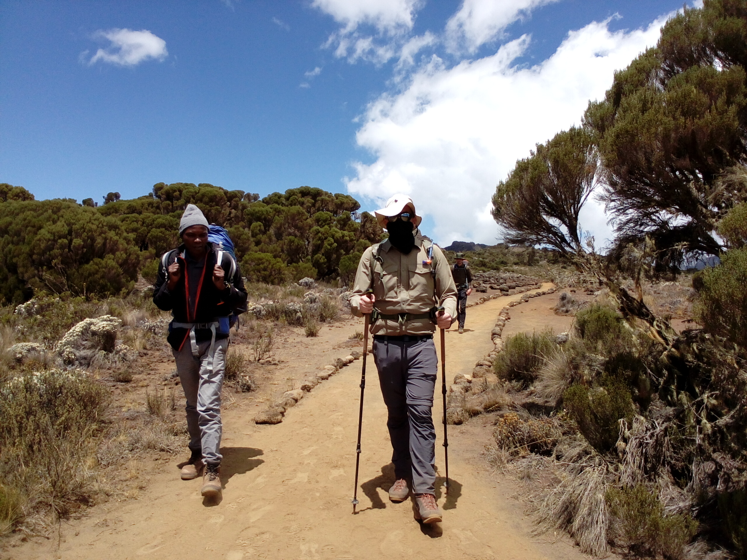 8-Day The Whiskey Kilimanjaro Trip Machame Route 2026 - 2027 - 2028