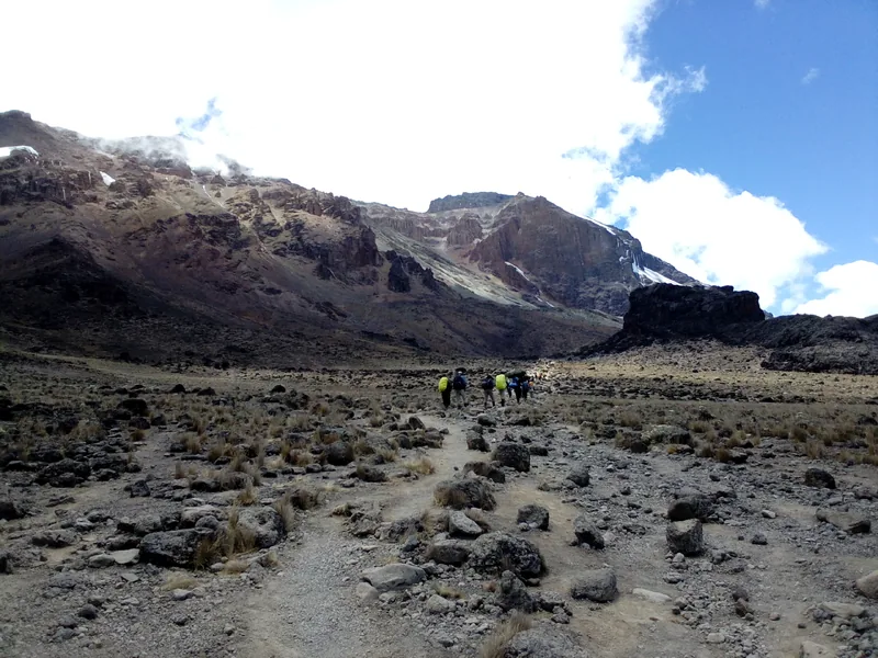 Eco-Conscious 10-Days Kilimanjaro Expedition via Lemosho Route - Kilimanjaro